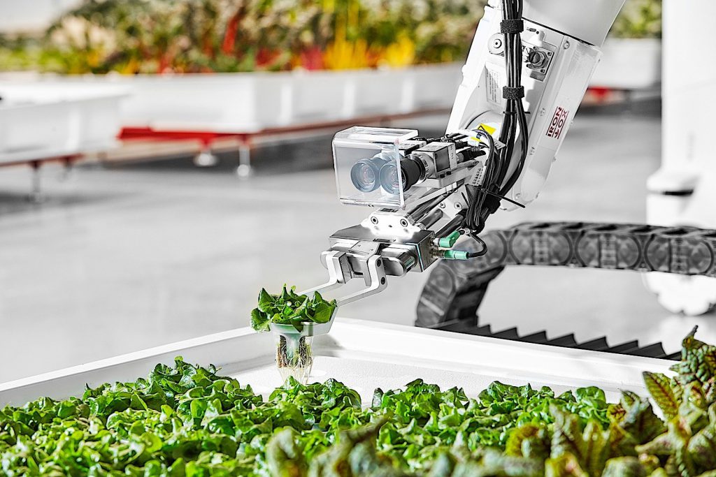 Nano Fertilizer