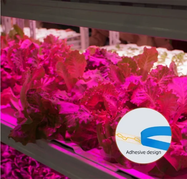LED Grow Light Full Spectrum USB Grow Light Strip 0.5m 1m 2m 2835 Chip LED Phyto Lamp for Plants Flowers Greenhouse Hydroponic - Image 4