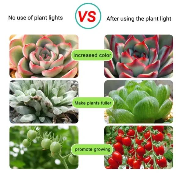 LED Grow Light Full Spectrum USB Grow Light Strip 0.5m 1m 2m 2835 Chip LED Phyto Lamp for Plants Flowers Greenhouse Hydroponic - Image 3